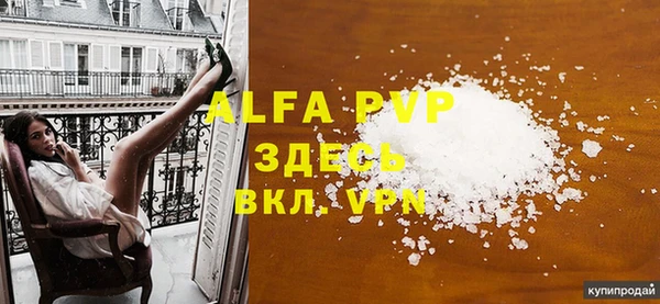 spice Вяземский