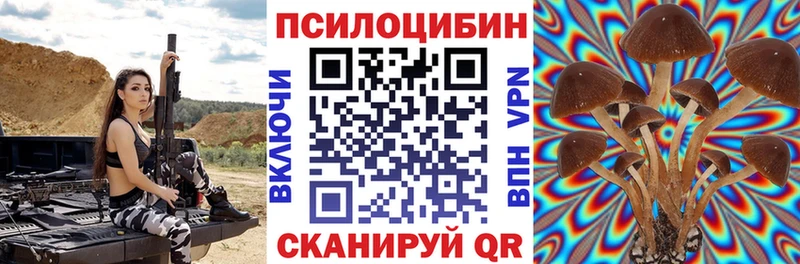 Псилоцибиновые грибы Magic Shrooms  Электросталь 